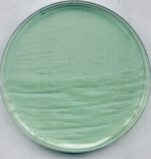 [1054520500] MILLIPORE AGAR PARA ANAEROBIOS SEGÚN BREWER PARA CULTIVO DE CLOSTRIDIOS Y OTROS MICROORGANISMOS EN SUPERFICIES, FRASCO DE 500 GR