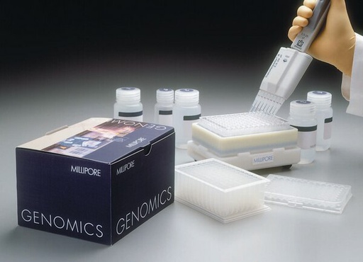 [LSKP09604] KIT PLASMID MINIPREP96, PLASMID&BAC MINIPREP - 4 x 96P