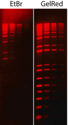 [SCT122] GELRED® COLORANTE PARA ÁCIDOS NUCLEICOS, 10000X DMSO, DISEÑADO PARA REEMPLAZAR EL BROMURO DE ETIDIO ALTAMENTE TÓXICO, PARA TEÑIR dsADN, ssADN O ARN EN GELES DE AGAROSA O POLIACRILAMIDA - 0.5ML
