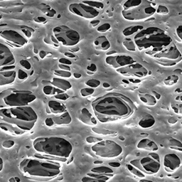 [HPWP01300] Membrana Millipore Express PLUS, poliétersulfona, hidrófila; 0,45 µm, 13 mm, Pac/100