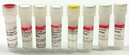 [CORET-1KT] SIGMA PCR CORE KIT WITH TAQ DNA POLYMERASE PCR COMPONENTS IN SEPARATE TUBES TO ALLOW FOR OPTIMIZATION - 1 KIT