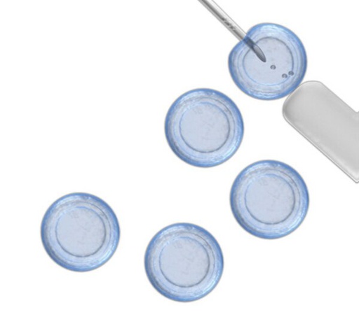 [SCR108] HUMAN MESENCHYMAL STEM CELL KIT - DERIVED FROM BONE MARROW CONTAINS 1 MILLION VIABLE CELLS AND 500 ML OF OPTIMIZED MEDIA - 1 KIT