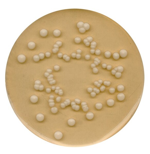[110130] Agar Patata Dextrosa