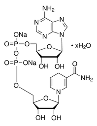 [10128023001] NADH / Grade II, disodium salt