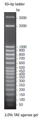 [70538-3] SIGMA-ALDRICH MARCADOR PERFECT DNA 50 pb, FORMATO LISTO PARA USAR - 100RX