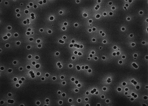 [ATTP01300] MEMBRANA MILLIPORE TIPO ISOPORE DE POLICARBONATO BLANCA, 0.8 MICRAS, 13 MM - PAQ X 100 UND