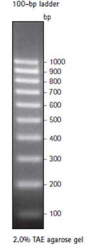 [70539-3] SIGMA-ALDRICH MARCADOR PERFECT DNA 100 pb, NOVAGEN, FORMATO LISTO PARA CARGAR - 100 RX